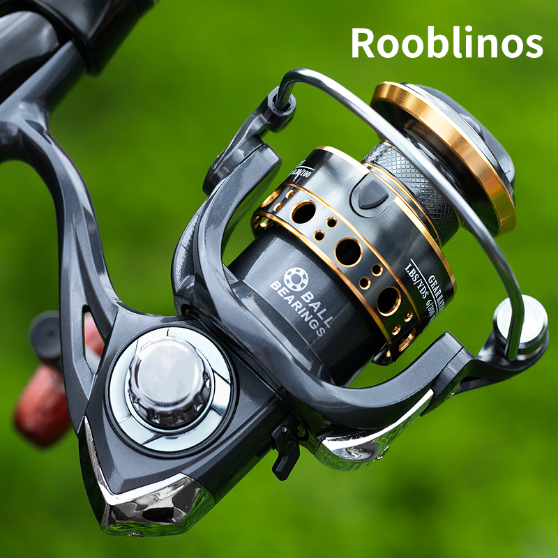 Daiwa Reel Bg - Rooblinos BK Spinning Vissen Rollen Voor